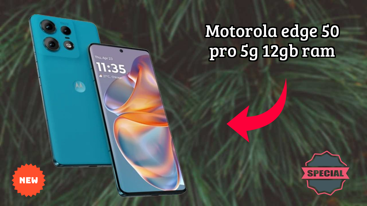 Motorola Edge 50 Pro 5G 12GB RAM Camera Review: 50 MP + 13 MP + 10 MP Rear Camera Photo Quality